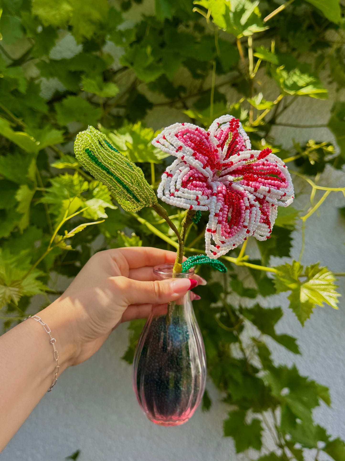 Sommer-Lilie🌺🍉