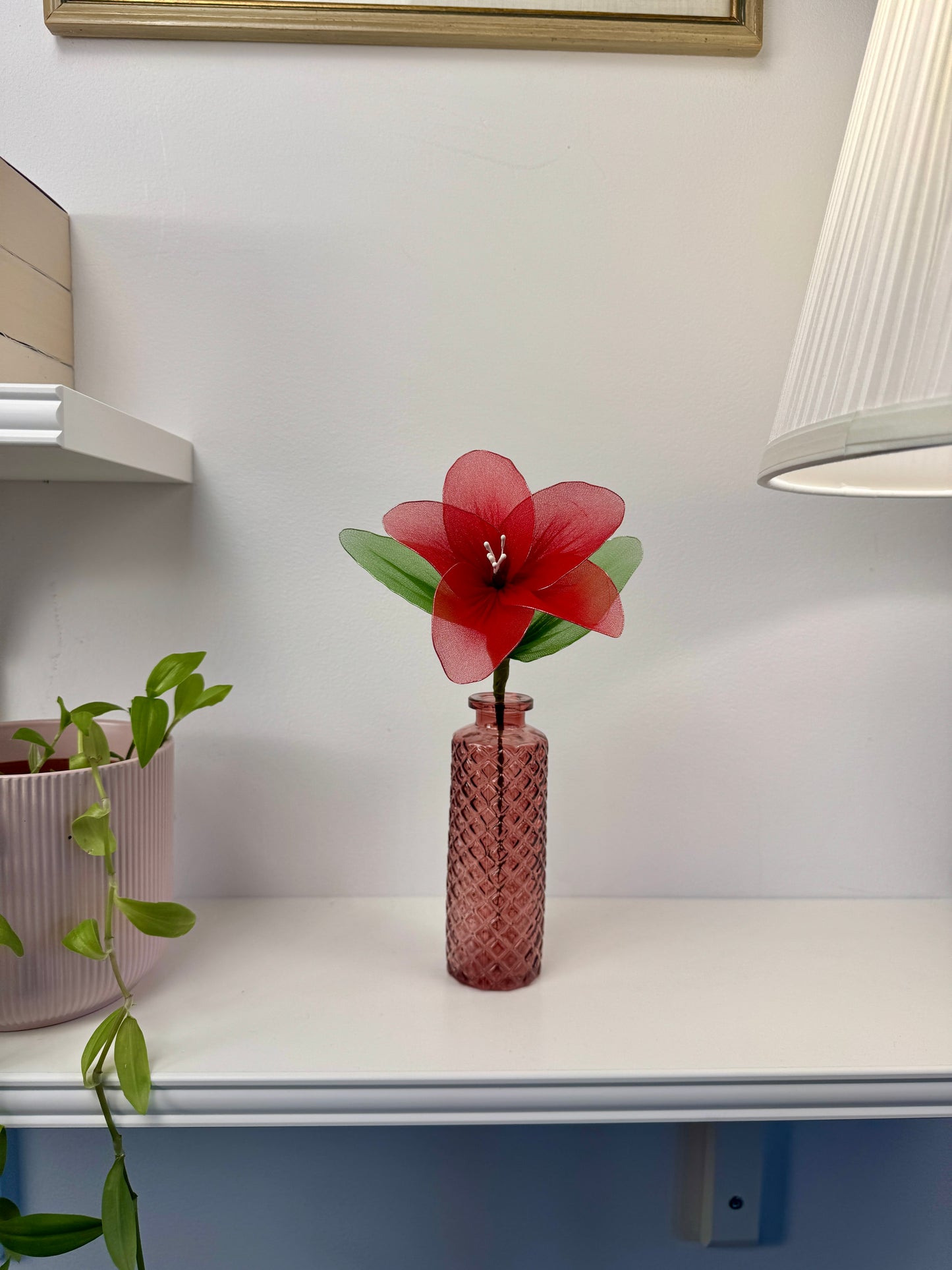 Winterstern♥️⭐️ aus Nylon