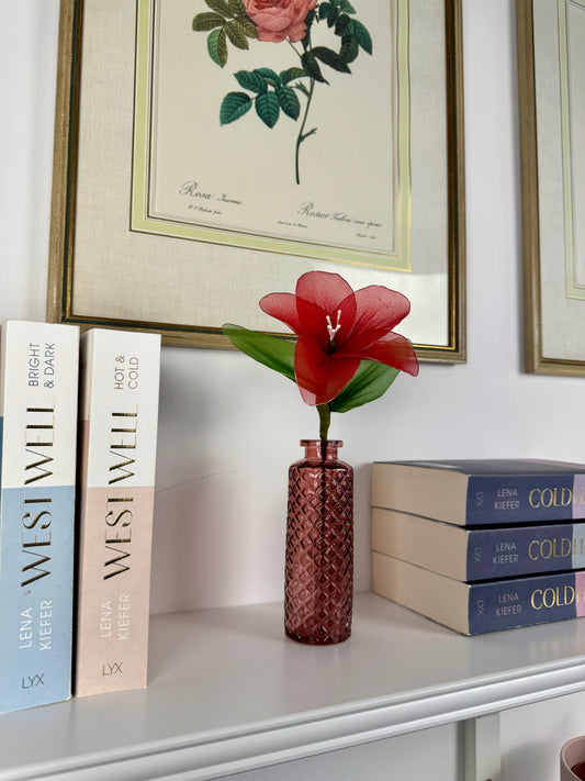 Winterstern♥️⭐️ aus Nylon