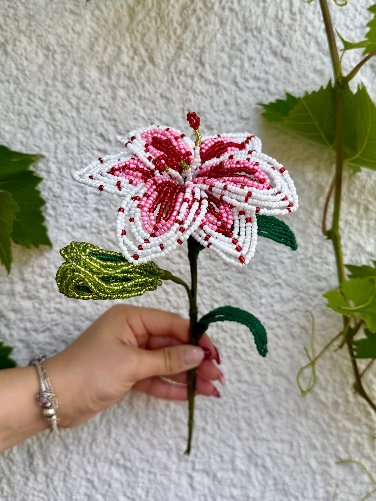 Sommer-Lilie🌺🍉