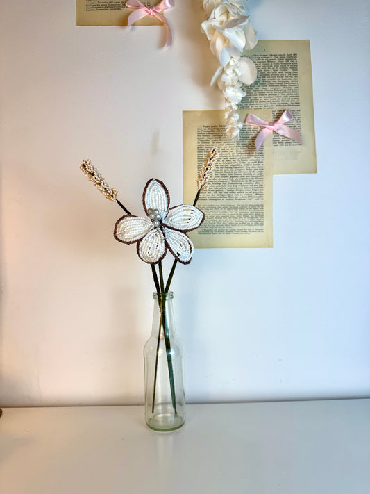 Herbst-Trio 🤎🌾